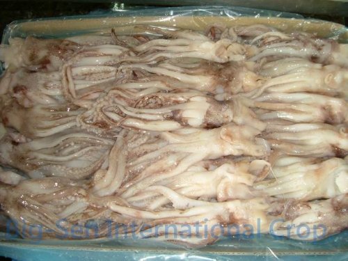 Squid Head & Tentacle