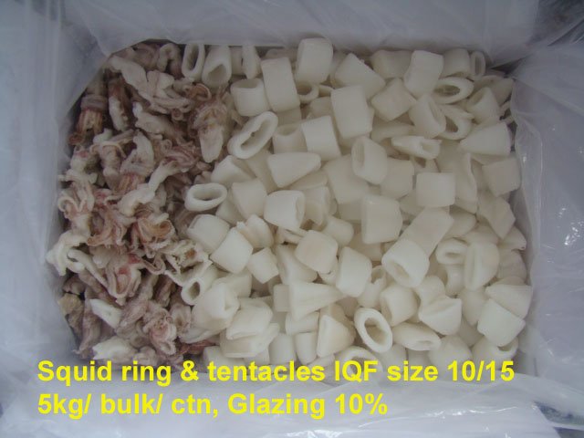 Frozen Squids Rings & Tentacles
