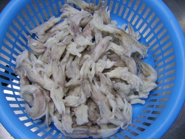 SQUID TENTACLES