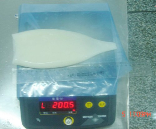 frozen   illex   squid 