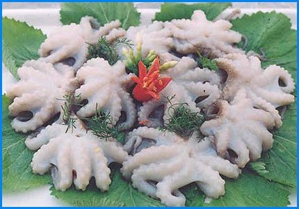 OCTOPUT