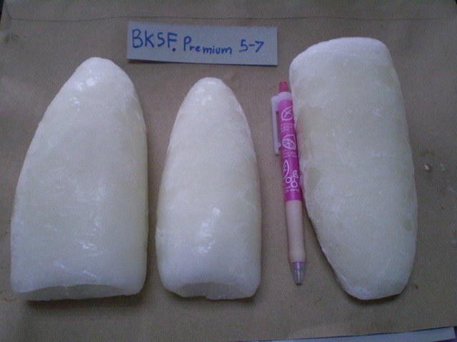  Frozen   Cuttlefish   Fillet  Roll