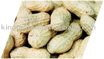 Roasted and salted   Peanuts