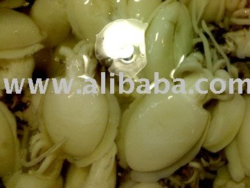 Frozen Seafood, Cuttle Fish
