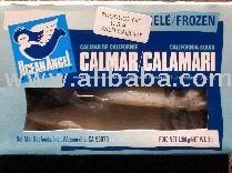 3 LB SQUID WINDOW PACK