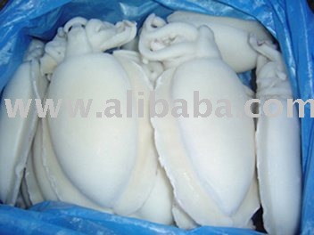 cuttlefish whole cleaned