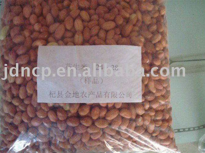 Peanut kernels(2010)