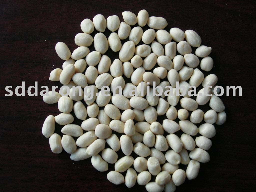 Blanched Peanut Kernels 51/61