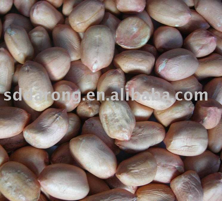 Peanut Kernels 40/50