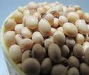  Soya  Bean for  Sale 