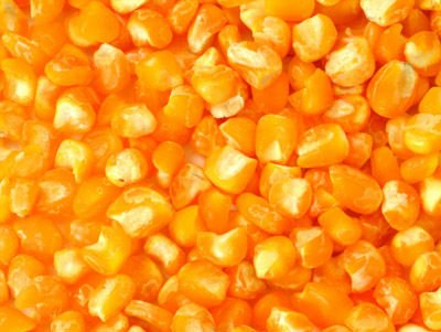 YELLOW hominy