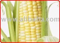 Wheat Flour Corn