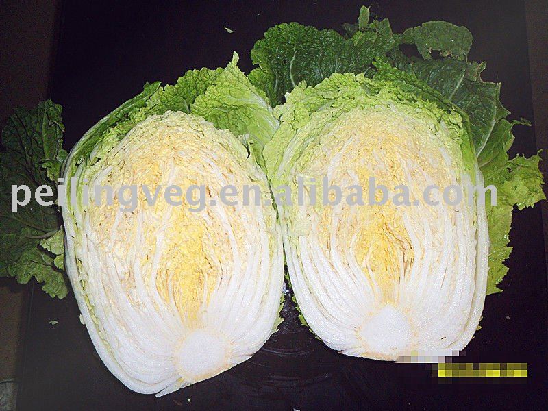 SHANDONG FRESH  CABBAGE