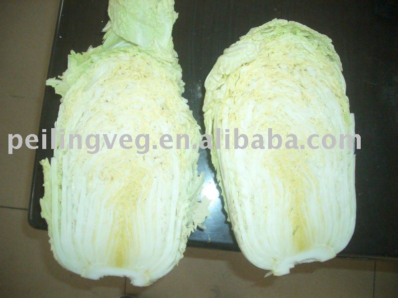 SUPPLY FRESH CHINESE  CABBAGE