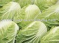 Chinese cabbage,fresh cabbage,white cabbage