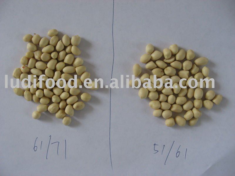 Round Blanched peanut kerenls