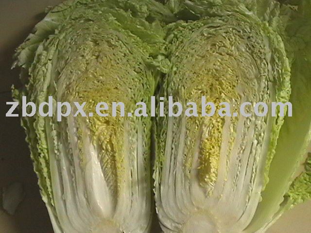 2010 Chinese fresh cabbage