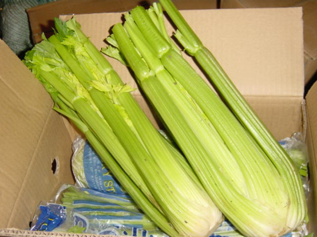fresh celery