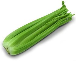 Celery stalk