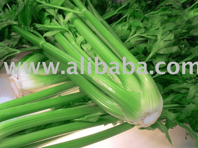 Mirak - Celery