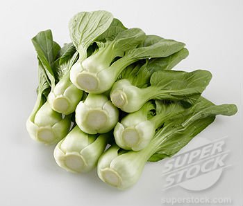 Fresh Celery Cabbage