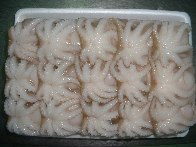OCTOPUS  FLOWER  SHAPE, SINGLE  SKIN