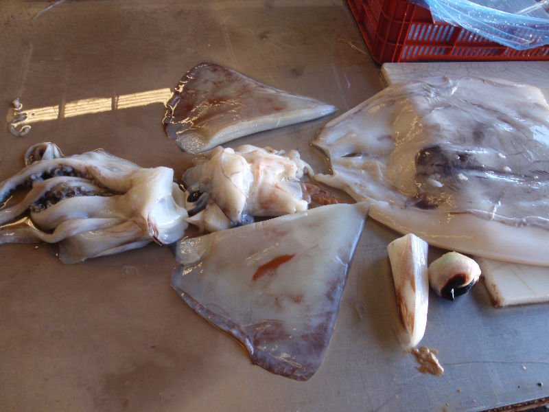 Giant Squid