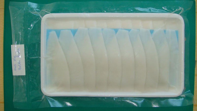 SQUID  SUSHI  SLICE