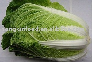 WHITE FRESH CHINESE CABBAGE