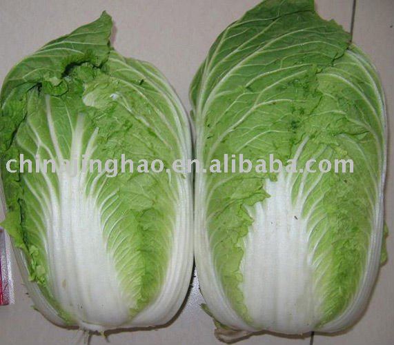 Long Green Chinese Cabbage