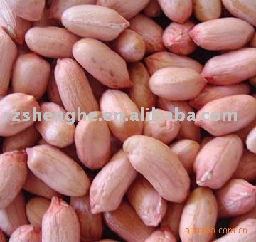 Chinese 2010 crop peanut kernels