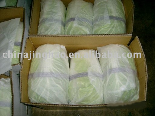 Fresh CHINESE CABBAGE from Shandong
