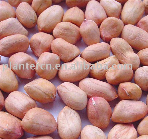 Chinese top quality peanut kernels