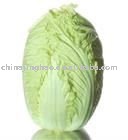 Chinese Fresh Long Cabbage 10 KG in Package