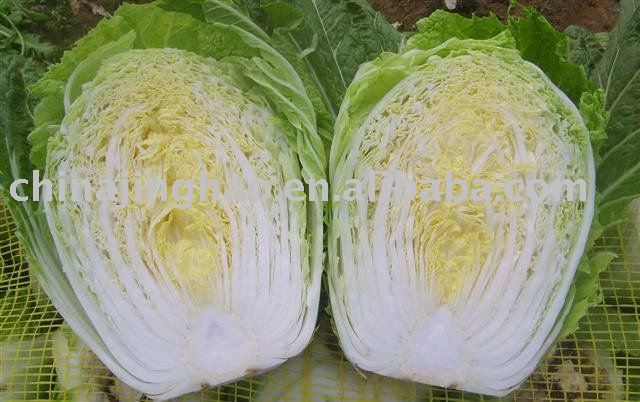 2010 new crop Healthy Vegetable and Hot Products - China Fresh Chinese Cabbage (25cm, 2.5kg)