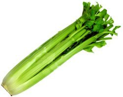  Green   Celery 