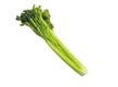 Celery