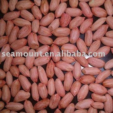 Peanut Kernel