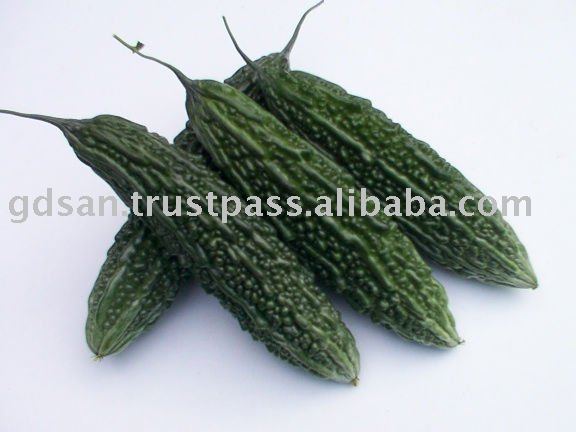 sell offer for fresh Bitter gourd