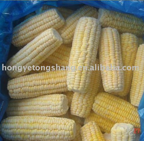 Sweet Corn