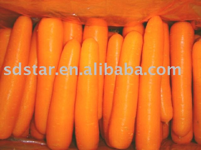 sell chinese yellow healthy fresh carrot