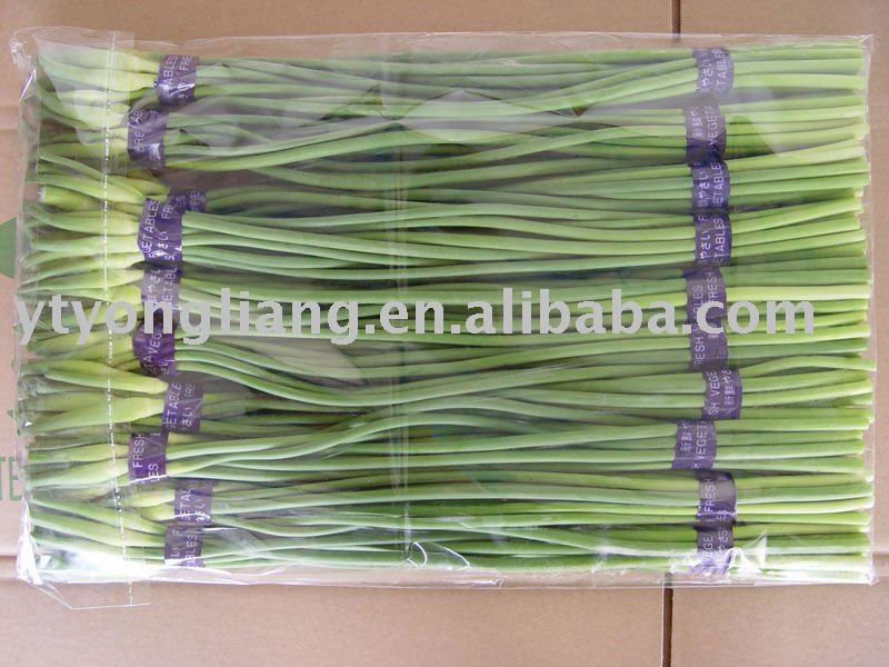 fresh garlic stems