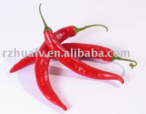 Red Chilli Pepper / China Pepper