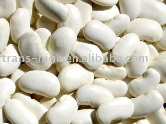 white kidney beans
