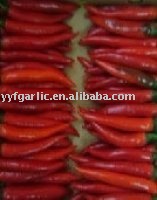 fresh frozen red chilli of china