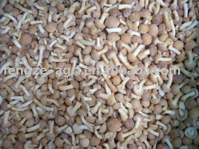 2010 New Crop IQF brown nameko