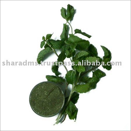 Dehydrated  Mint   Leaves  Powder