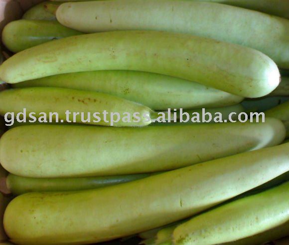 fresh bottle gourd,India price supplier - 21food