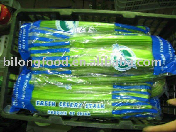 fresh celery