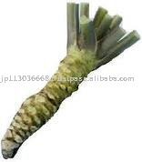 wasabi